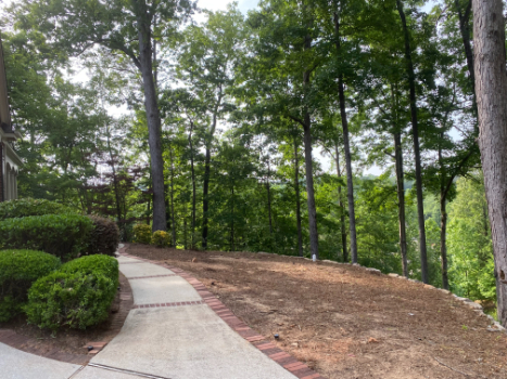 Landscaping Contractor