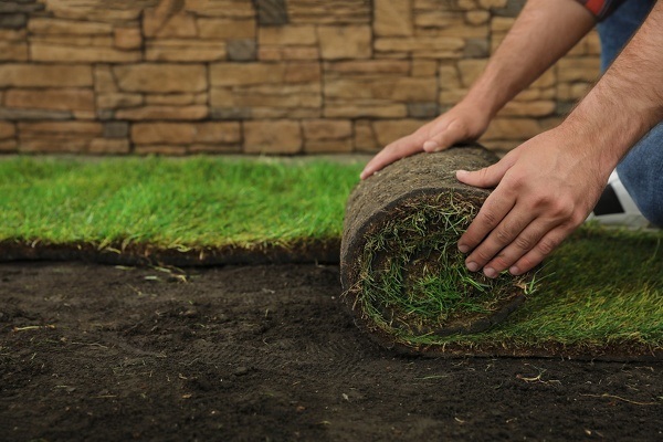 Lawn Maintenance and Sod Installation
